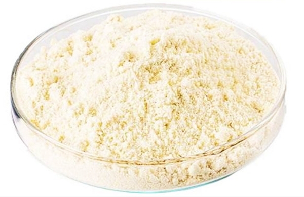 Plant Sterol Esters Powder