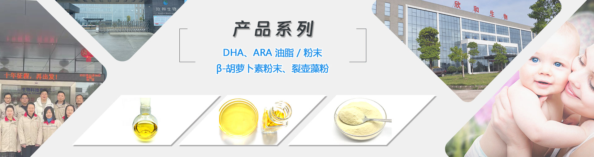 DHA algal oil, DHA Algal oil powder, Arachidonic Acid Oil, Sn-2 DHA Algal oil
